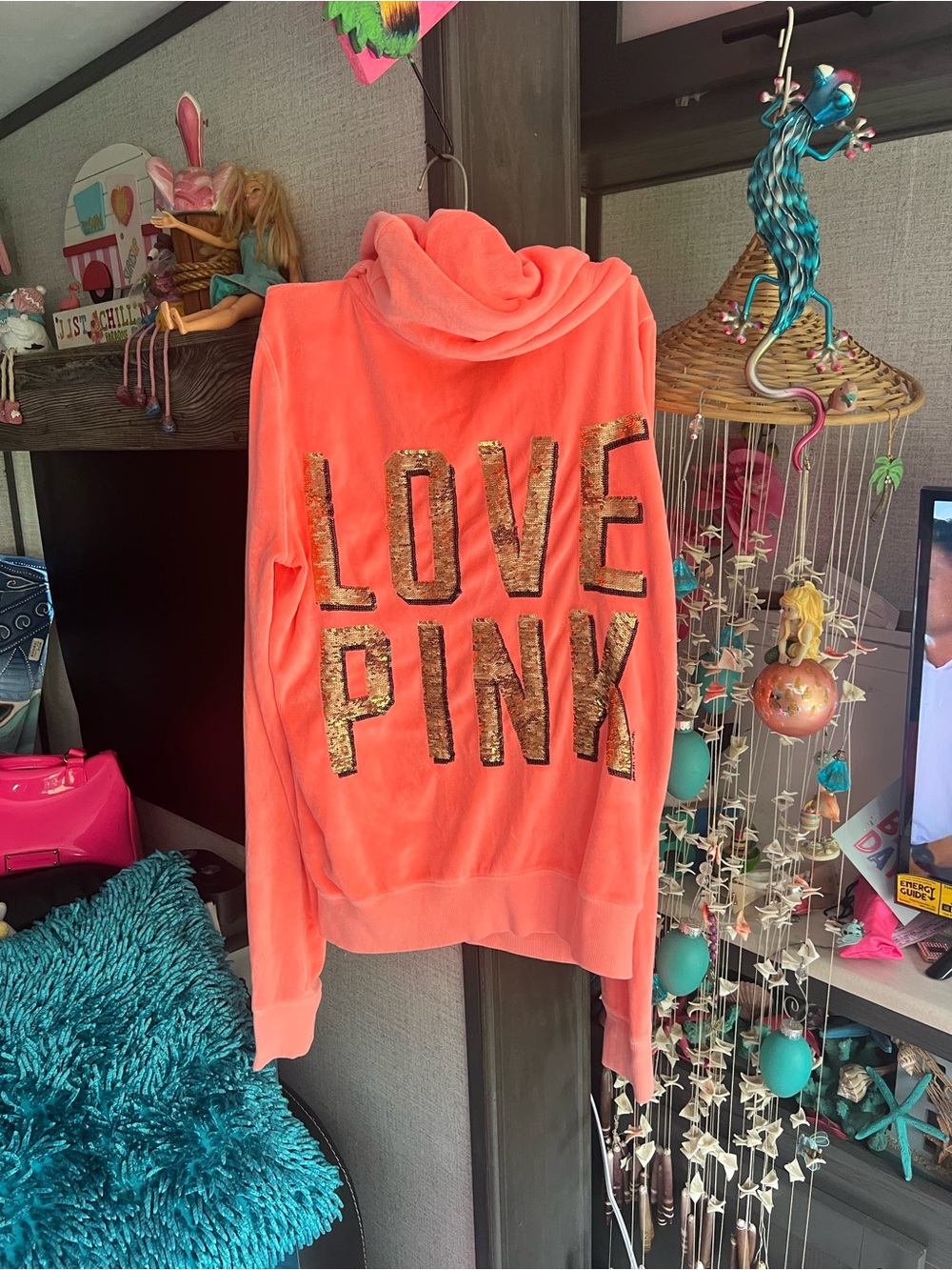 VS Pink Hoodie